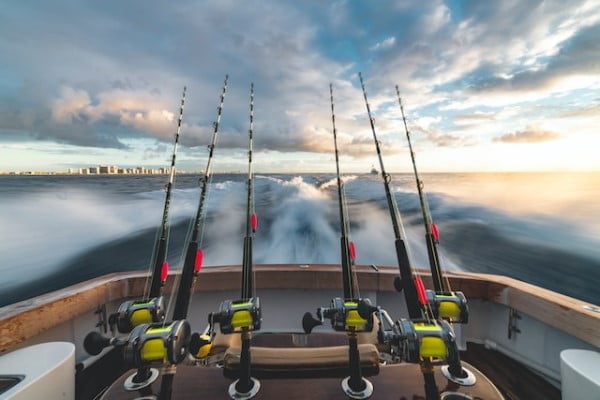 cañas de pescar baratas