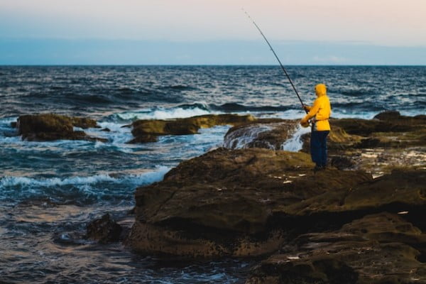 cañas de pescar precios