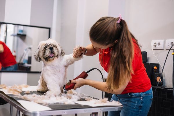 mejores maquinas de cortar pelo para perros